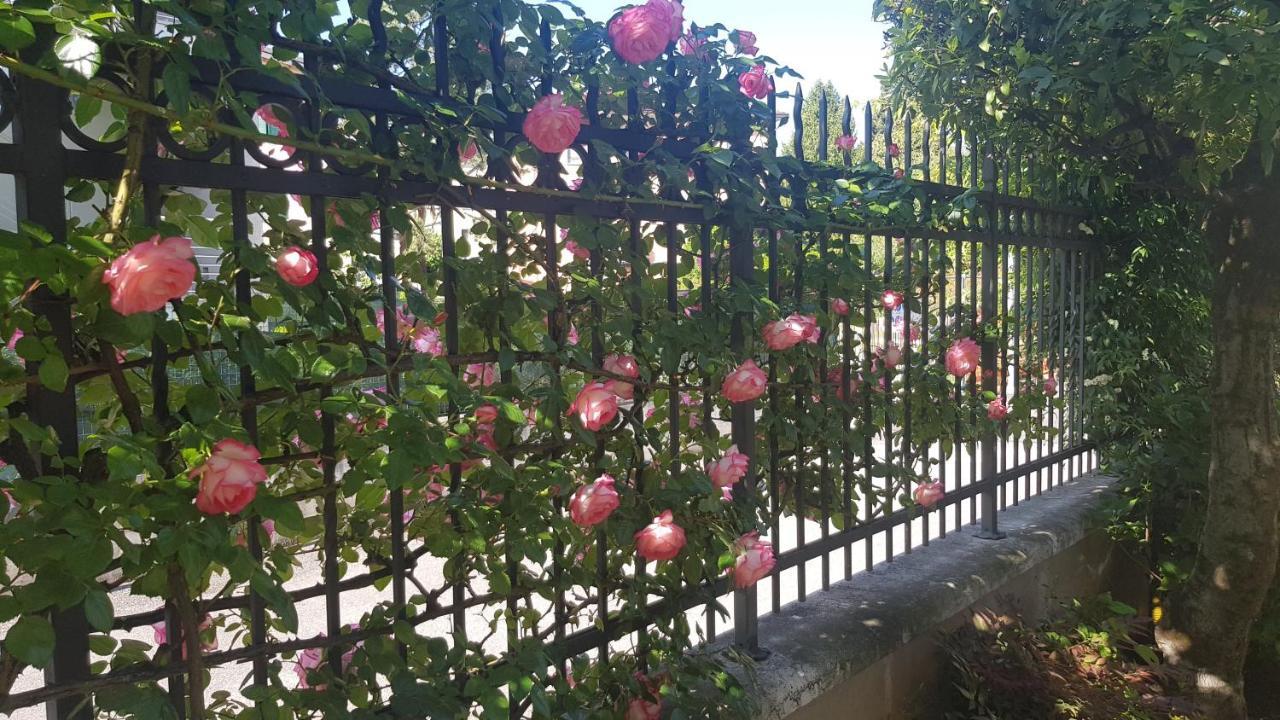 Appartamento Modenese 8 Peschiera del Garda Exterior foto